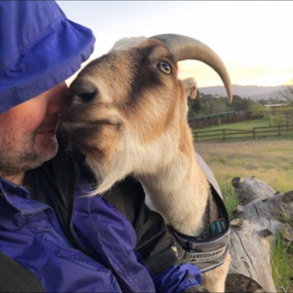 Hi! Thank you for visiting Shadowspond 😊😊😊 - Picture 10 of 16